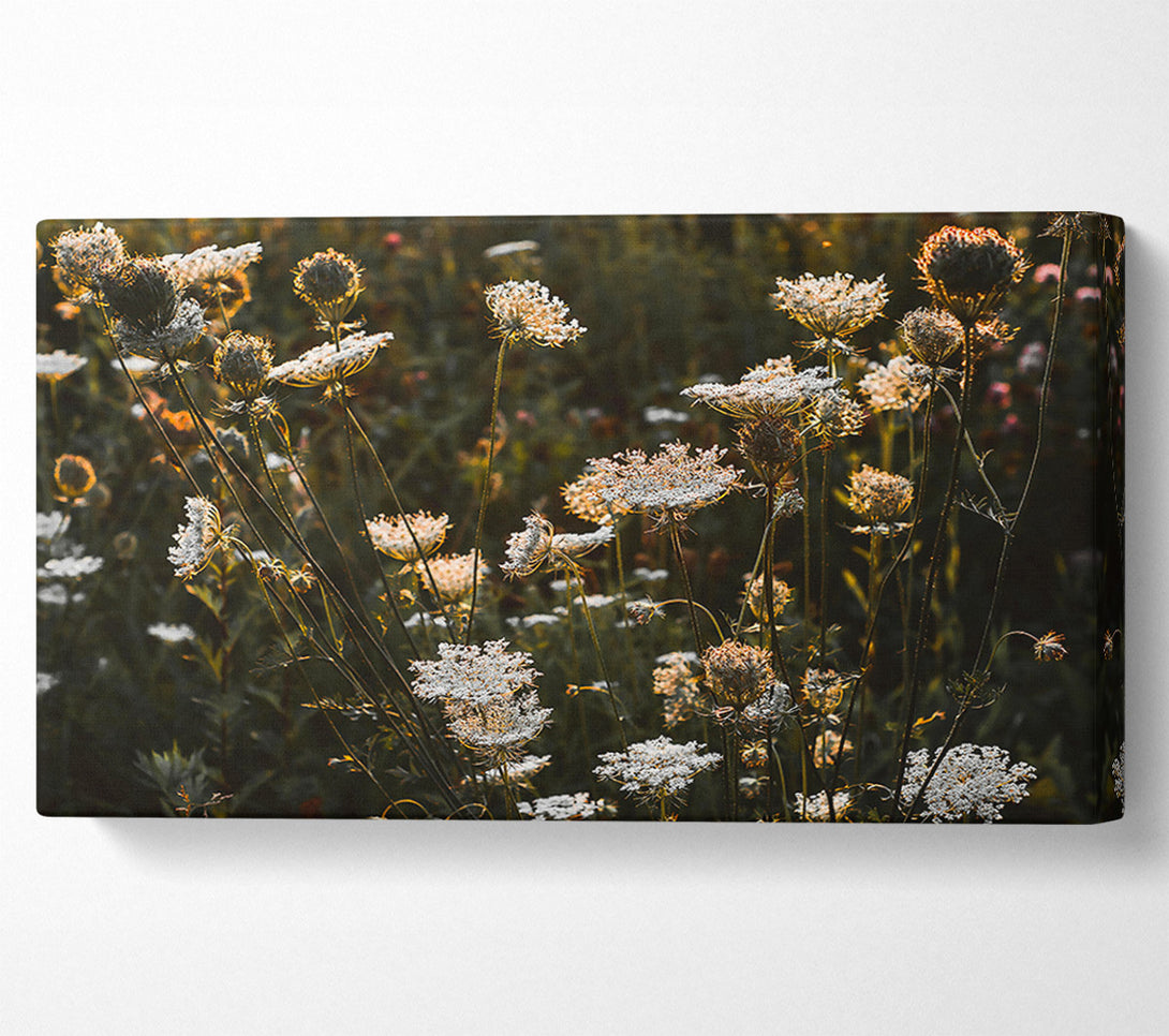  A Canvas Print of Golden Wildflower Bloom Canvas Wall Art