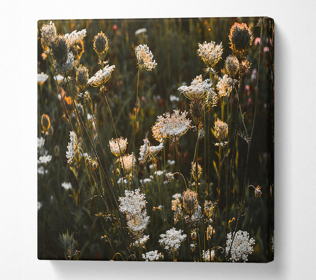  A Canvas Print of Golden Wildflower Bloom Canvas Wall Art