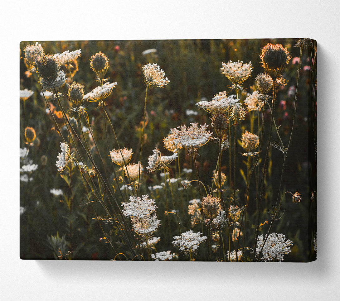  A Canvas Print of Golden Wildflower Bloom Canvas Wall Art