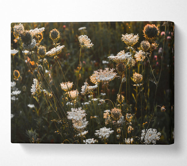  A Canvas Print of Golden Wildflower Bloom Canvas Wall Art