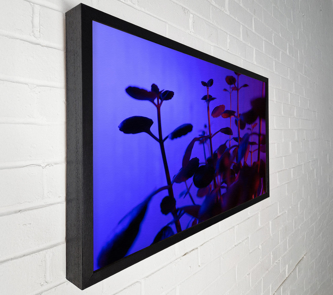  A Canvas Print of Blue Light Silhouettes Canvas Art