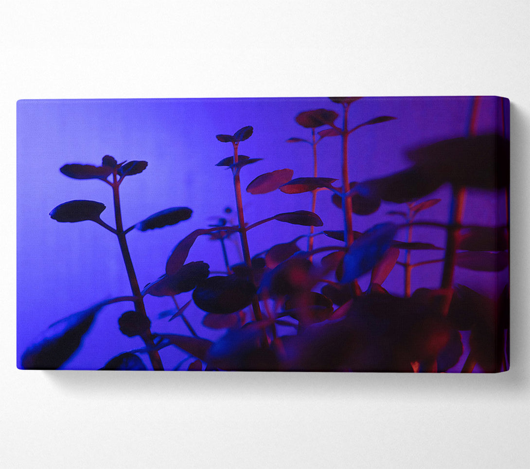  A Canvas Print of Blue Light Silhouettes Canvas Art