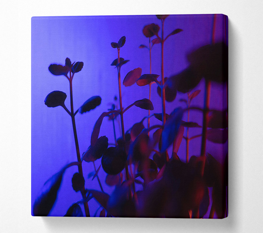  A Canvas Print of Blue Light Silhouettes Canvas Art
