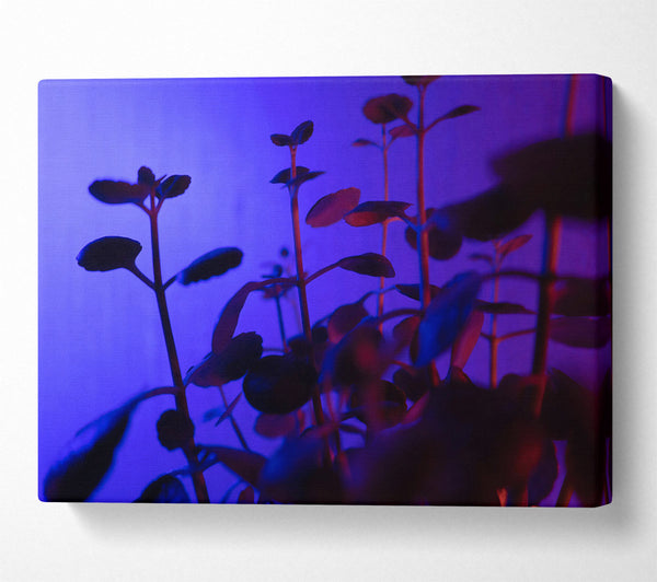  A Canvas Print of Blue Light Silhouettes Canvas Art