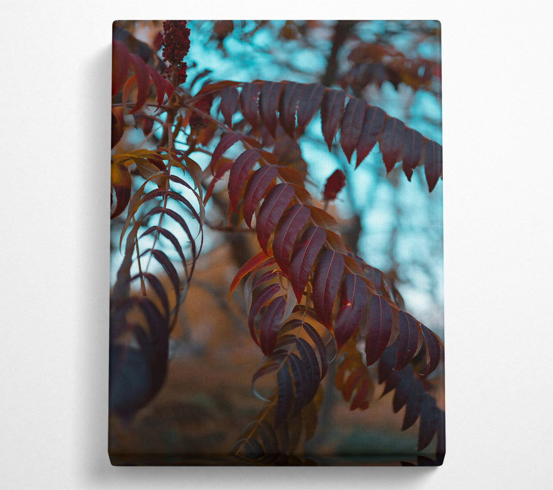 A Canvas Print of Crimson Autumn Leaves Canvas Wall Art