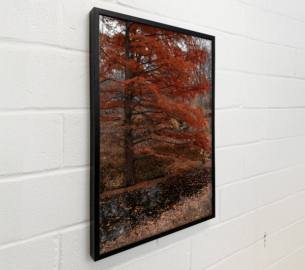 Autumn'S Orange Reflection