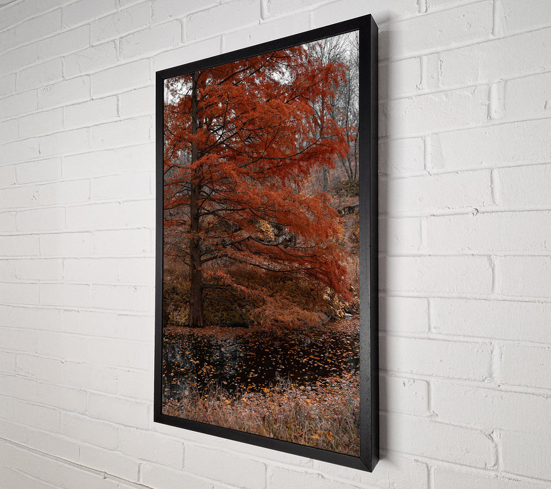  A Canvas Print of Autumn'S Orange Reflection Canvas Wall Art