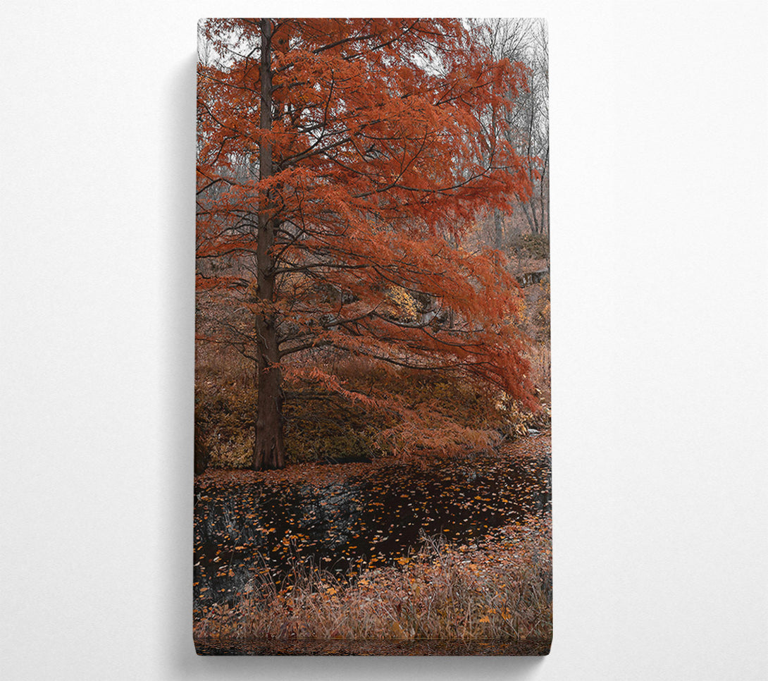  A Canvas Print of Autumn'S Orange Reflection Canvas Wall Art