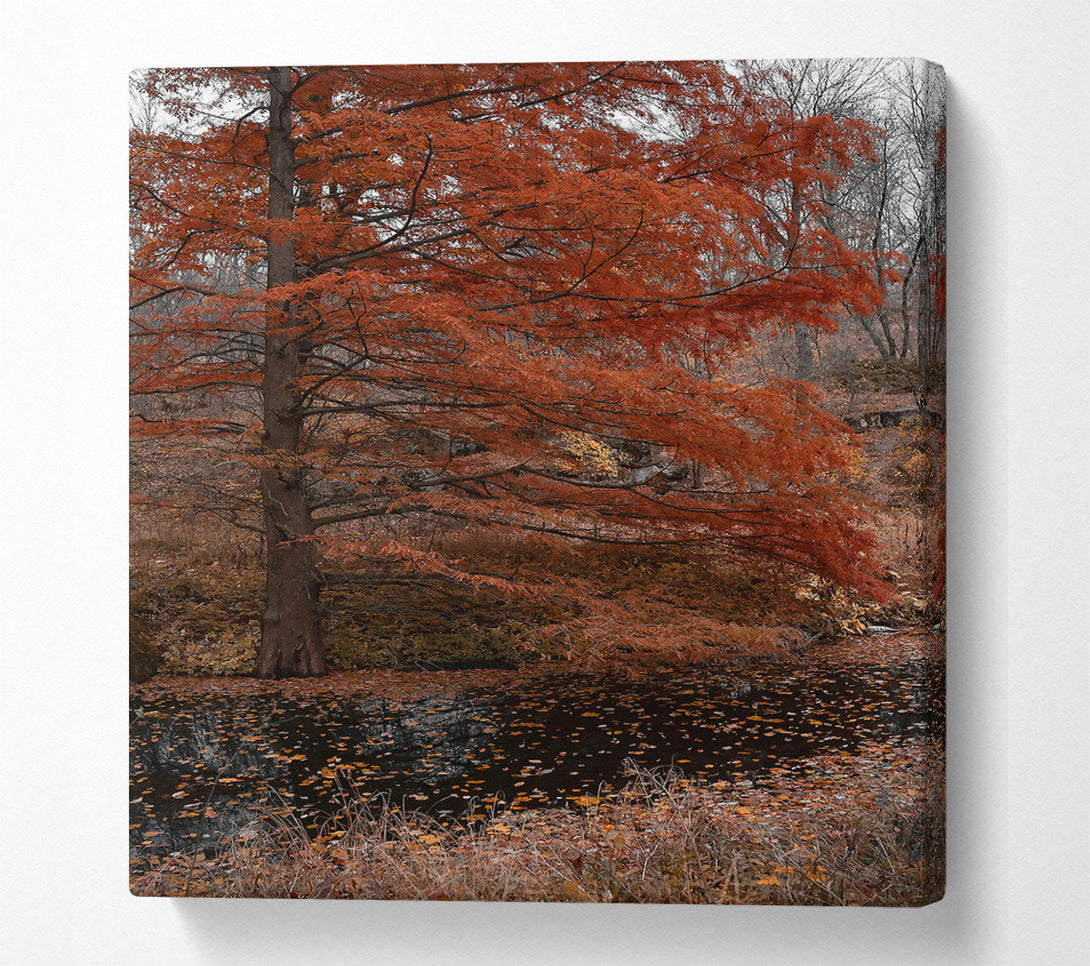  A Canvas Print of Autumn'S Orange Reflection Canvas Wall Art
