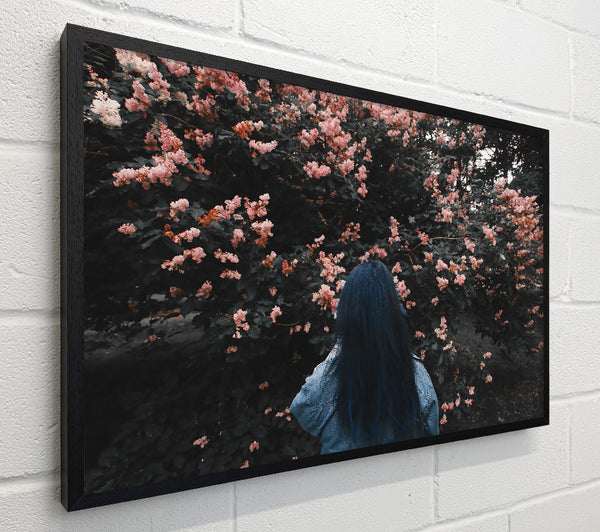 Pink Blossoms And Blue