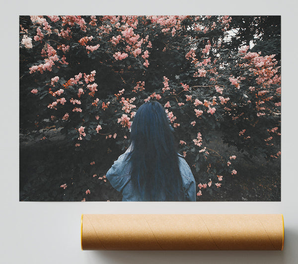 Pink Blossoms And Blue Poster