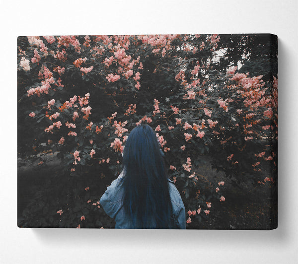  A Canvas Print of Pink Blossoms And Blue Canvas Wall Art
