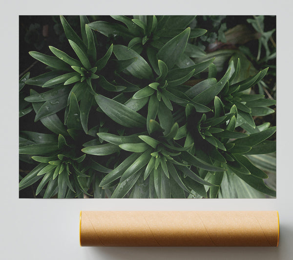 Emerald Green Sprouts Poster