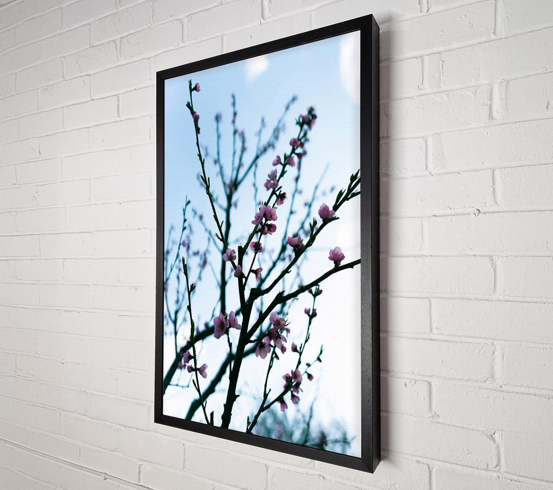  A Canvas Print of Pink Spring Branches Canvas Art