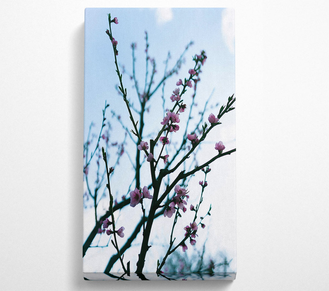  A Canvas Print of Pink Spring Branches Canvas Art