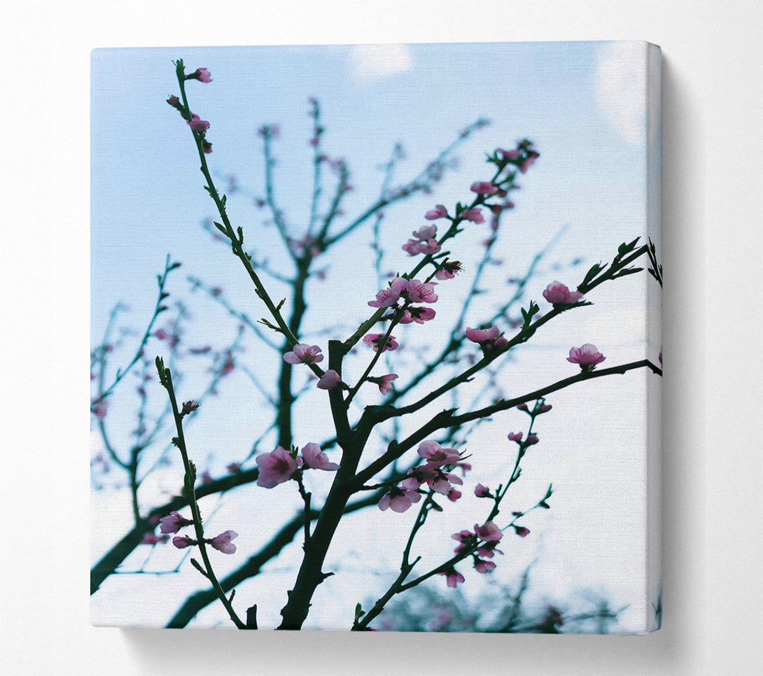  A Canvas Print of Pink Spring Branches Canvas Art