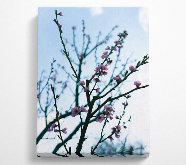  A Canvas Print of Pink Spring Branches Canvas Art