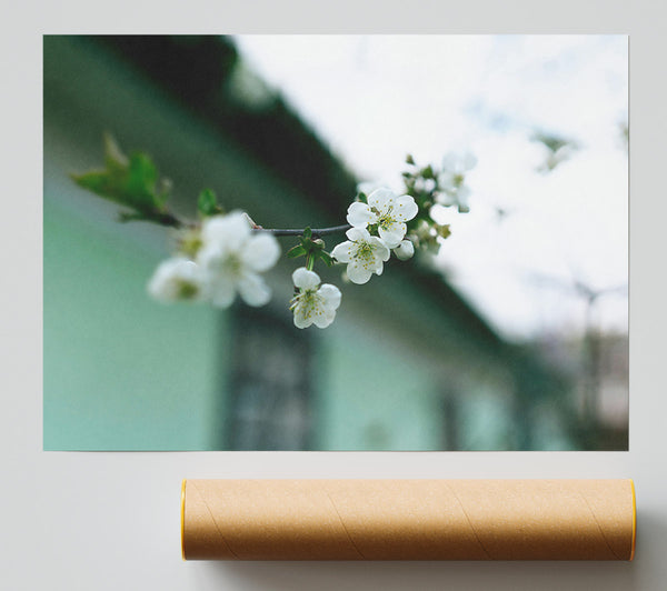 Green Bloom'S Embrace Poster