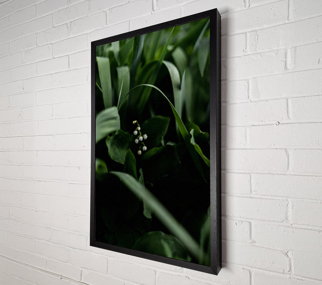  A Canvas Print of Emerald Lily Whisper Canvas Art