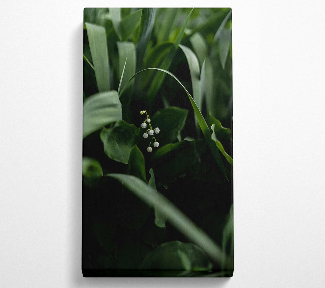  A Canvas Print of Emerald Lily Whisper Canvas Art