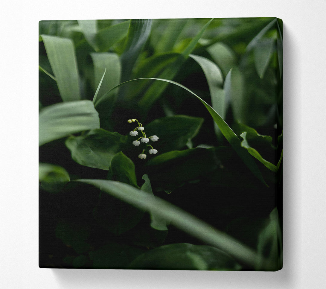  A Canvas Print of Emerald Lily Whisper Canvas Art