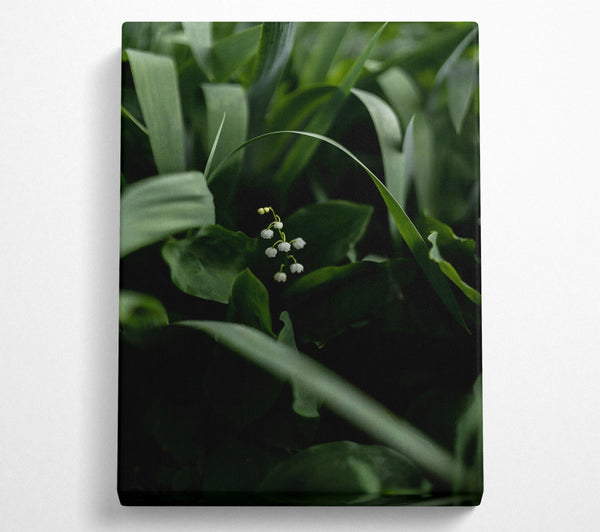  A Canvas Print of Emerald Lily Whisper Canvas Art