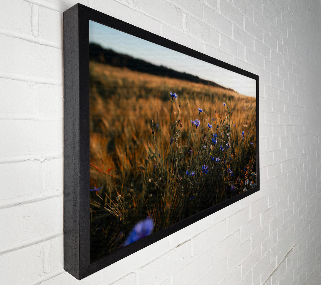  A Canvas Print of Golden Blue Field Canvas Print