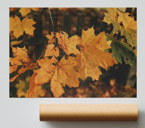 Golden Leaf Memories Print