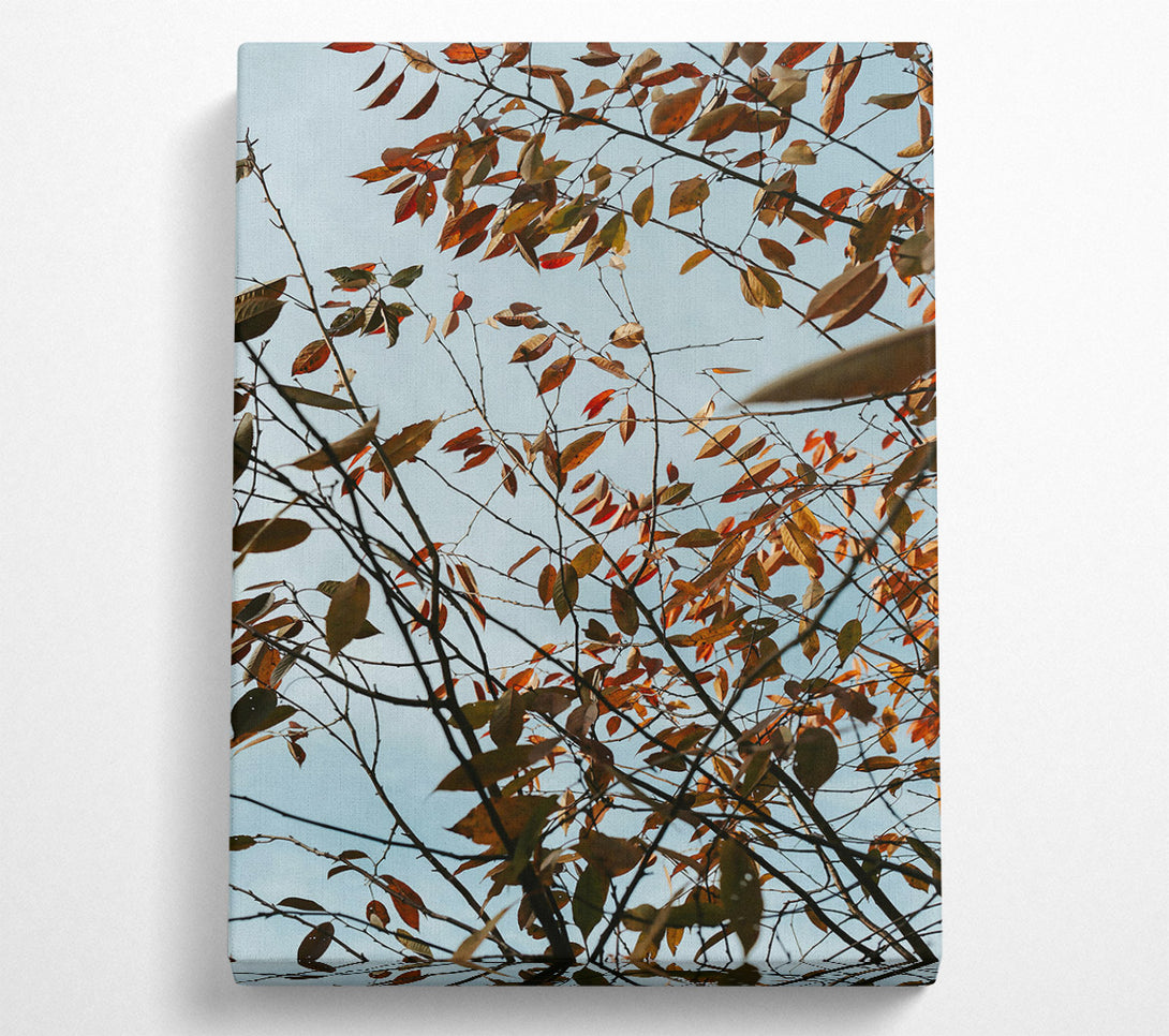  A Canvas Print of Crimson Autumn Leaves Canvas Wall Art
