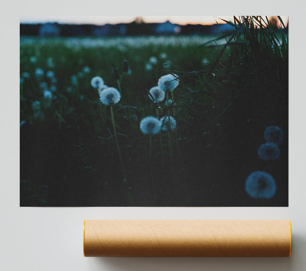 Green Field Wishes Print