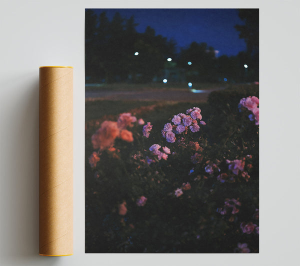 Purple Bloom Night Light Poster