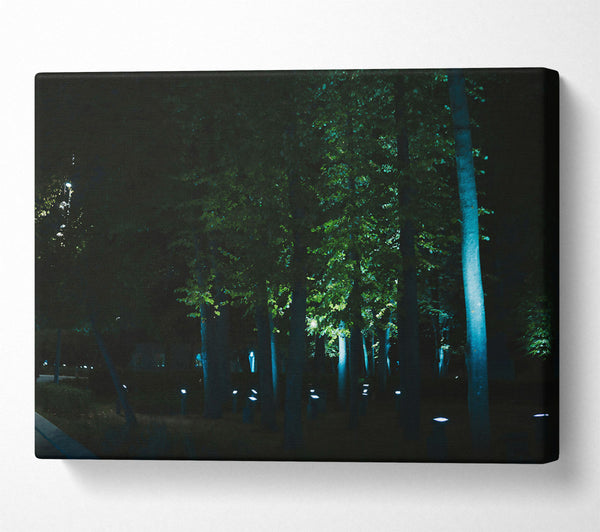  A Canvas Print of Blue Night Forest Canvas Print