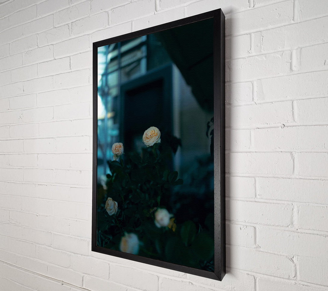 A Canvas Print of Pale Blooms In The Dark Canvas Art
