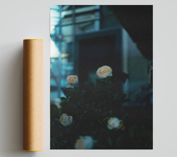 Pale Blooms In The Dark Print