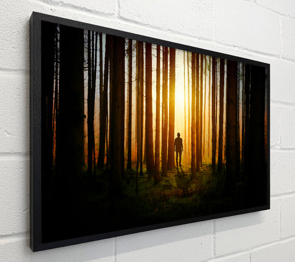 Golden Forest Silhouette