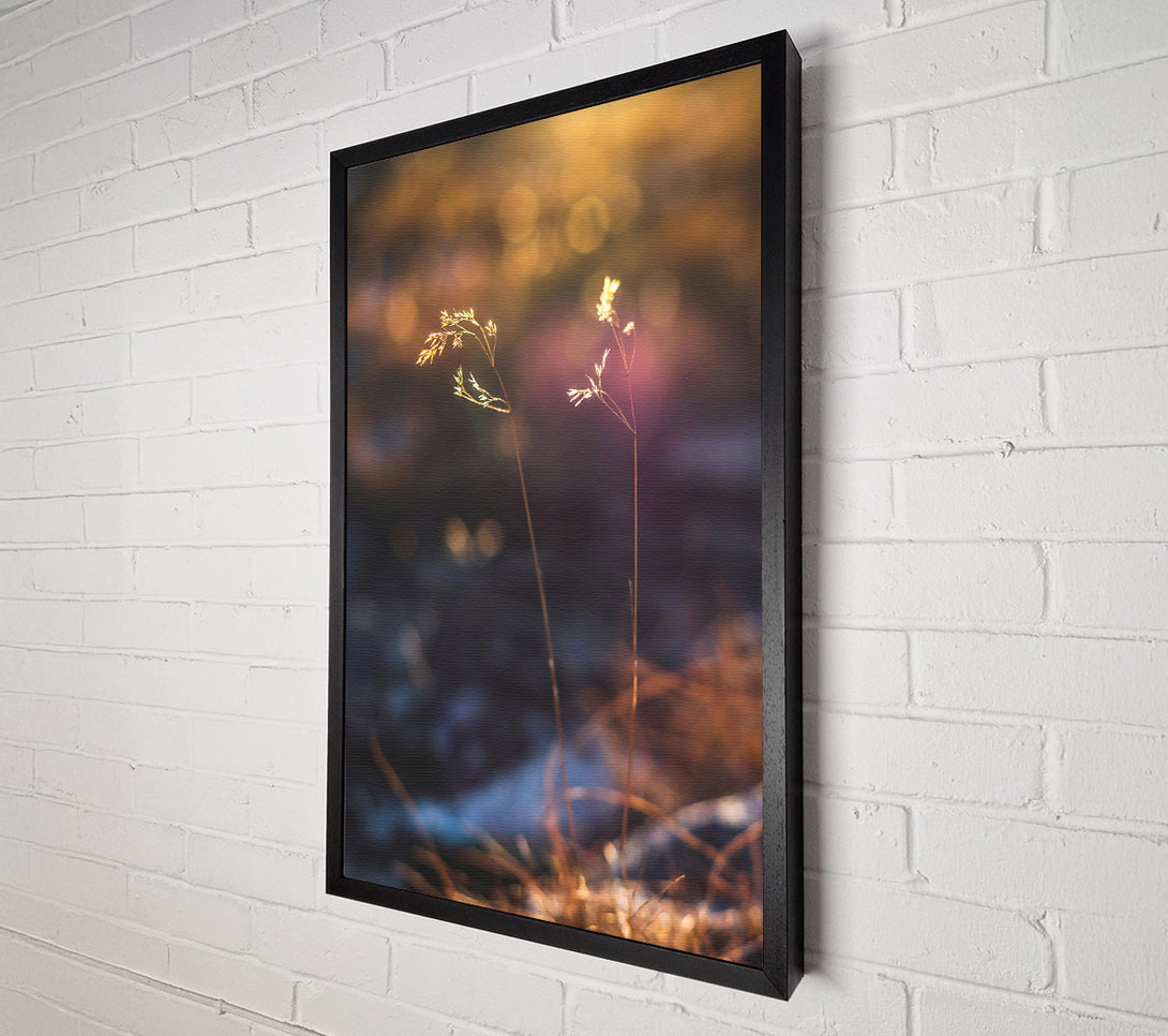  A Canvas Print of Golden Light Through Grass Canvas Art