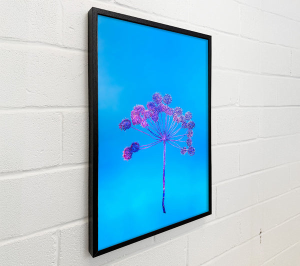 Blue & Purple Bloom