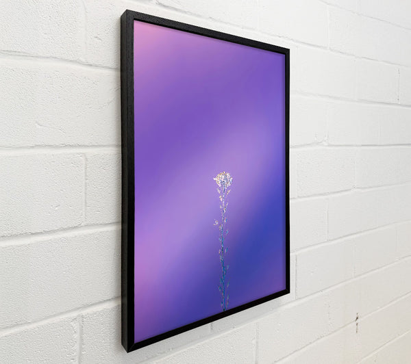 Purple Bloom Alone