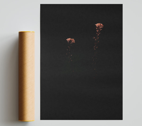 Pale Pink Silhouette Print