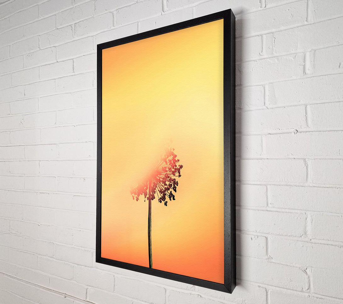  A Canvas Print of Golden Bloom Silhouette Canvas Print