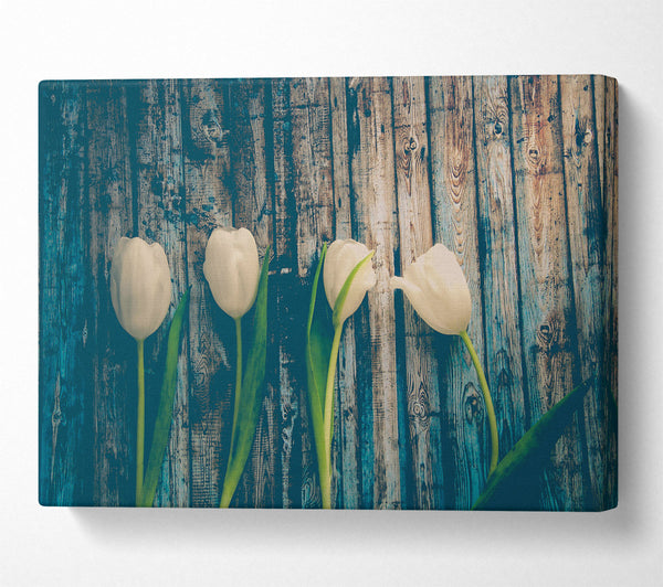  A Canvas Print of White Tulips On Teal Wood Canvas Wall Art