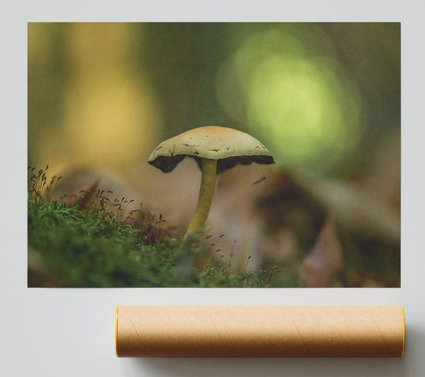 Green Moss Mushroom Print