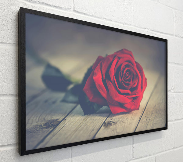 Crimson Rose On Wood