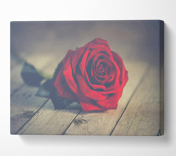  A Canvas Print of Crimson Rose On Wood Canvas Art