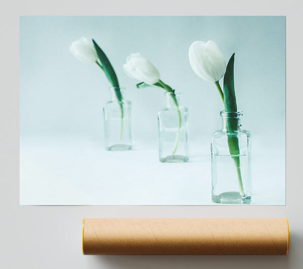 Pale Blue Tulips Print