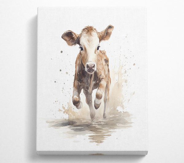  A Canvas Print of Running Cow Puddle Jump Canvas Art