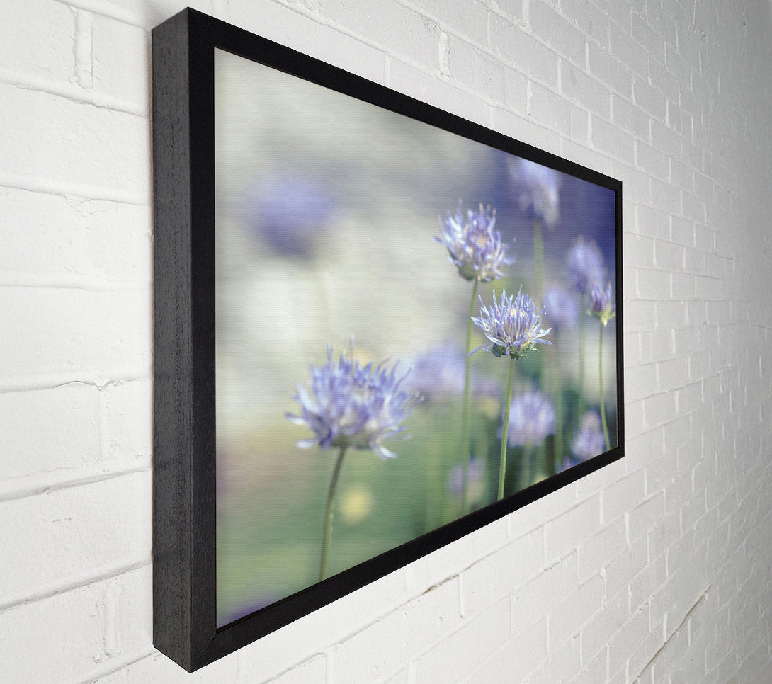  A Canvas Print of Lavender Field Dreams Canvas Wall Art
