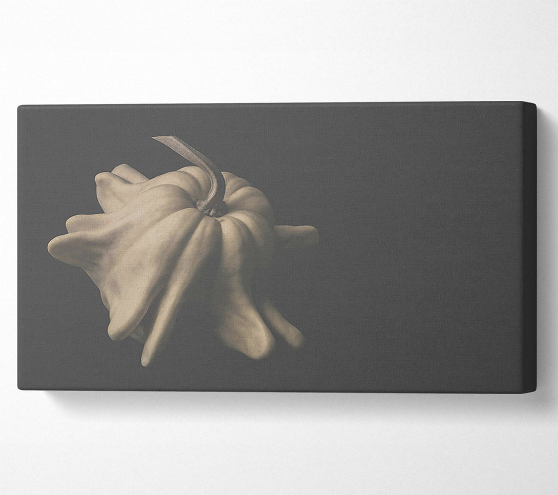  A Canvas Print of Pale Gourd Bloom Canvas Art