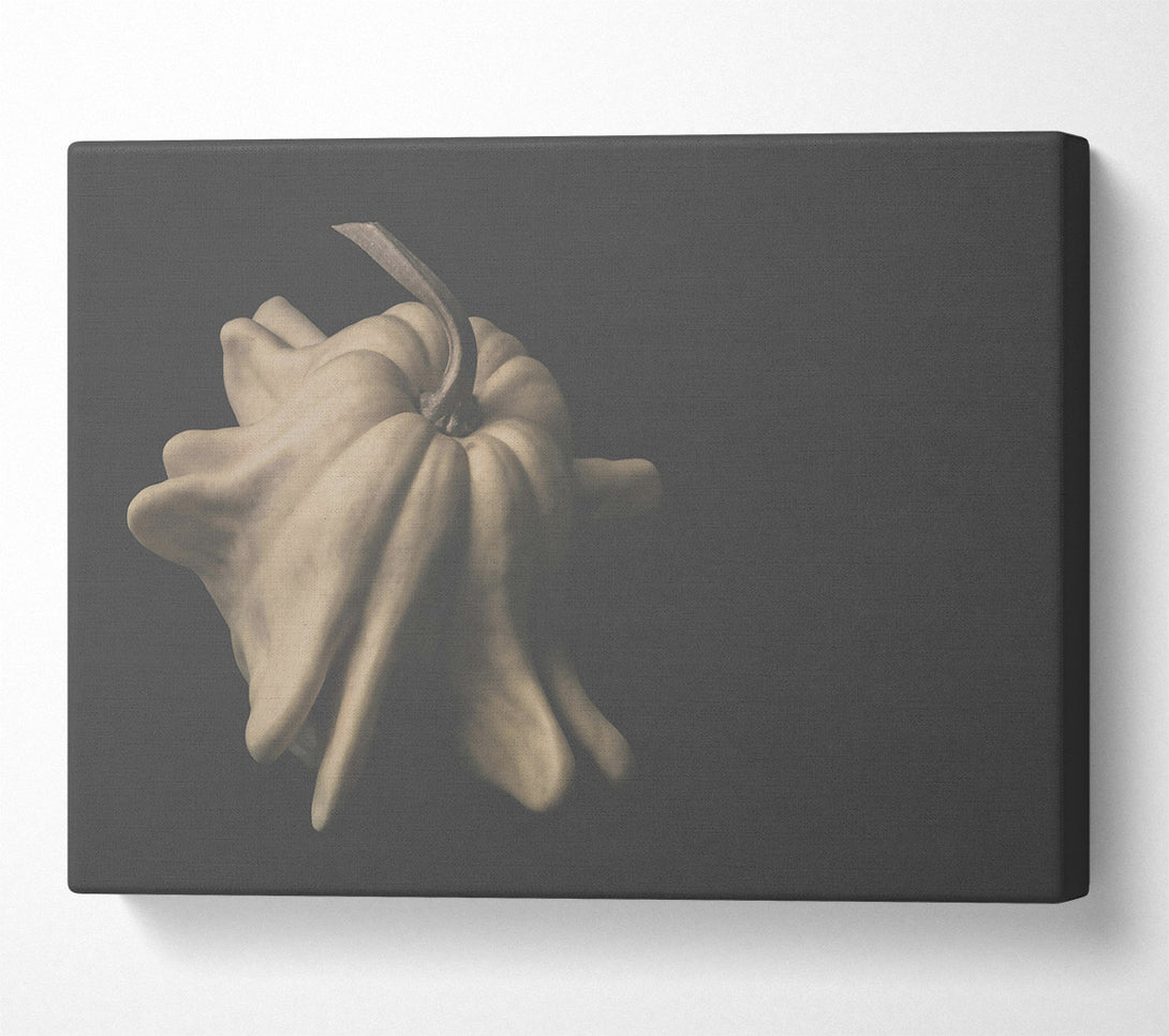  A Canvas Print of Pale Gourd Bloom Canvas Art