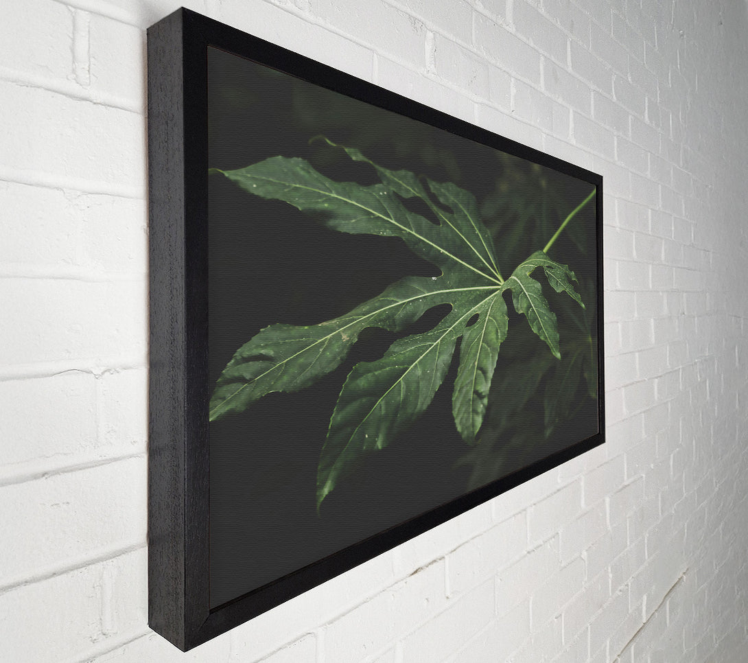  A Canvas Print of Emerald Leaf Shadow Canvas Wall Art